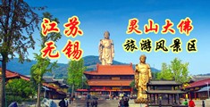 羞羞哒哒HD江苏无锡灵山大佛旅游风景区
